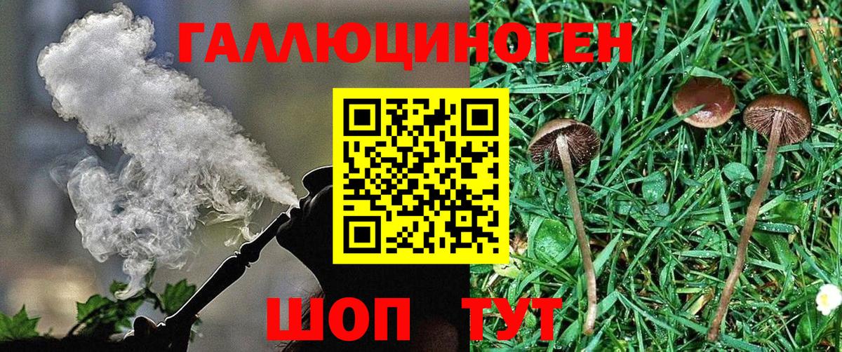 Галлюциногенные грибы прущие грибы  Вход с VPN  Белорецк 